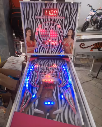flipper elettronico 