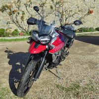 Triumph Tiger 800 - 2019