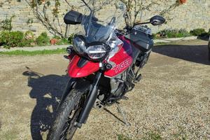 Triumph Tiger 800 - 2019
