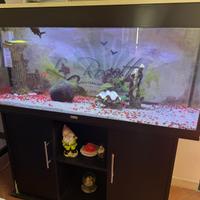 acquario juwel per pesci