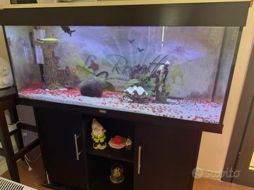 acquario juwel per pesci