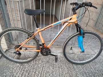 Bicicletta MTB -ruote 26
