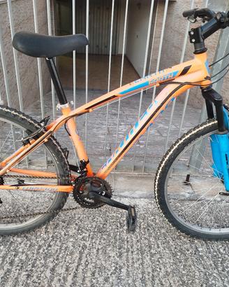 Bicicletta MTB -ruote 26
