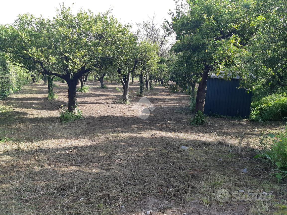 TER. AGRICOLO A NOCERA INFERIORE - Vista 5