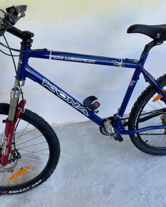 Mountain bike