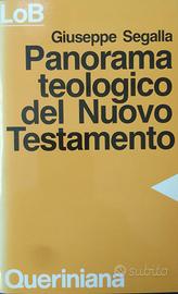 Segalla, Panorama teologico del Nuovo Testamento