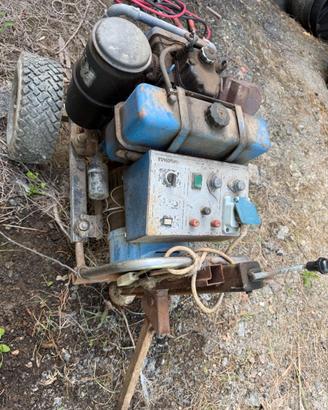 generatore di corrente Mase M 3000 tigre