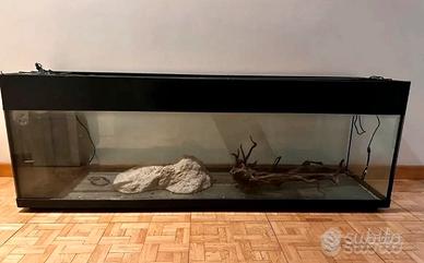 Acquario 300 litri