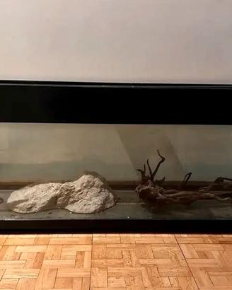 Acquario 300 litri