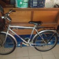 giraopanca + montanbaikh 