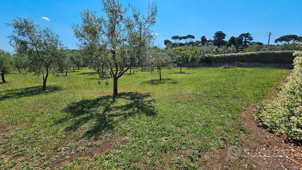 Frascati: terreno agricolo - Vista 5