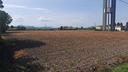 terreno-di-28000-m²-a-cartura