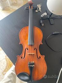 Violino