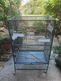 Gabbia voliera in metallo
