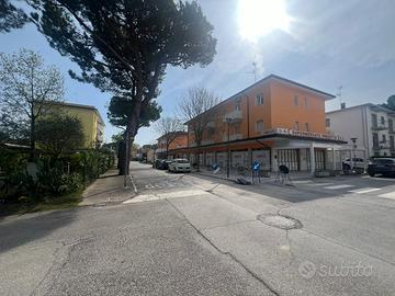 Lido dei Pini luminoso bilocale