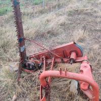 barrafalciante bilama