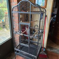 voliera per pappagalli