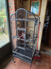 voliera per pappagalli