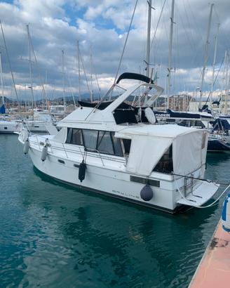 Bayliner 32.88