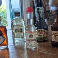 Collezione liquori mignon