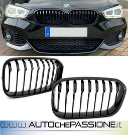Coppia griglie performance per Bmw Serie 1 F20/F21