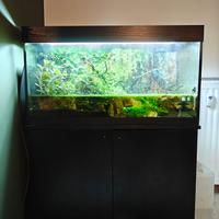 Acquario 300L con mobiletto + Accessori