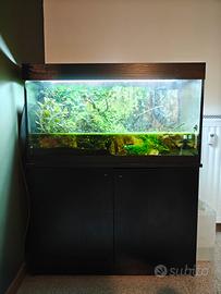 Acquario 300L con mobiletto + Accessori