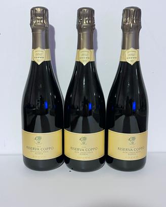 Coppo alta langa 2020