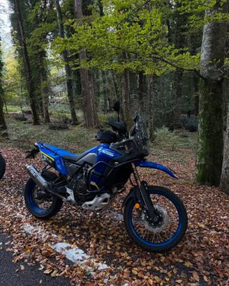 Yamaha Tenere World Raid SC project full