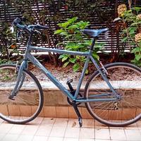 Bici Regina Corso Como, sella BROOKS