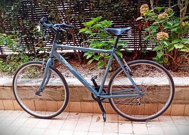 Bici Regina Corso Como, sella BROOKS