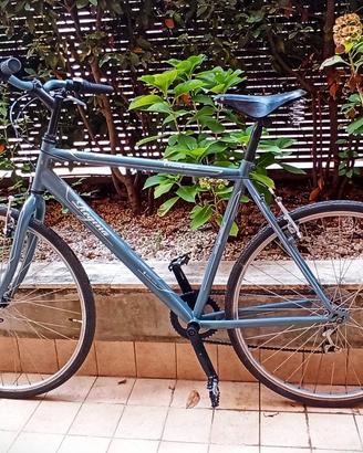 Bici Regina Corso Como, sella BROOKS