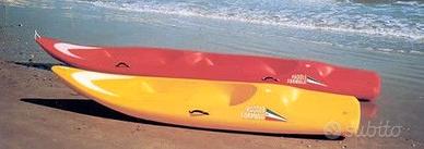 Canoa/Paddle biposto in Polietilene