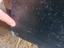 Immagine 5