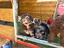 Immagine 28