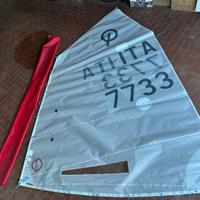 Vela optimist cd sails taglia m (35-40kg)