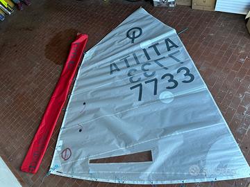 Vela optimist cd sails taglia m (35-40kg)