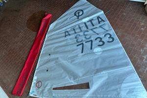 Vela optimist cd sails taglia m (35-40kg)