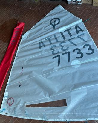 Vela optimist cd sails taglia m (35-40kg)