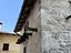 Immagine 23