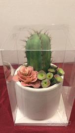 Piante grasse in porcellana fredda