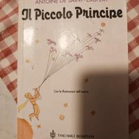 Il piccolo principe 