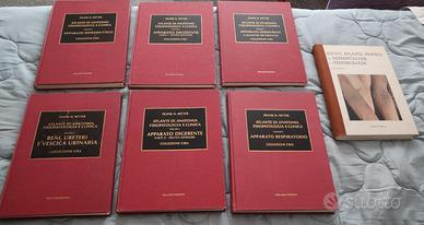 Atlante di Anatomia- F. Netter ed. Ciba 1985