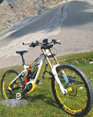 ebike Haibike Dwnhll Pro 