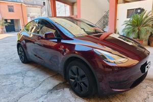 TESLA MOD Y RWD 11/24