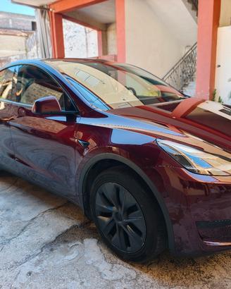 TESLA MOD Y RWD 11/24