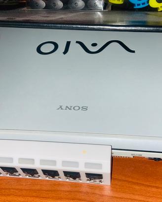 Sony Vaio Laptop