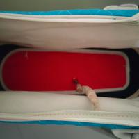 Trasportino per cuccioli