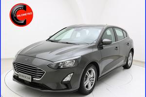 Ford Focus 1.5 EcoBlue 120CV Business