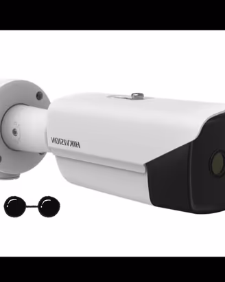 Telecamera Termica Hikvision DS-2TD2137-10/P 